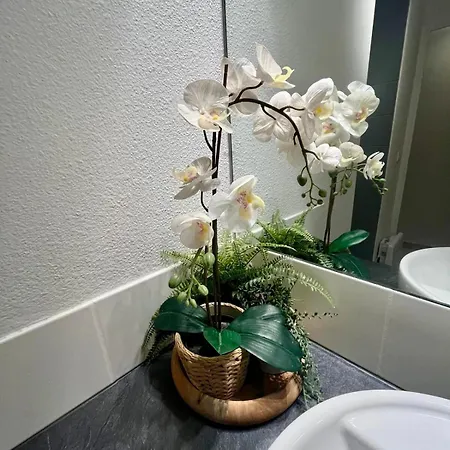 Apartamento Lumiere In